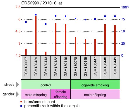 Gene Expression Profile