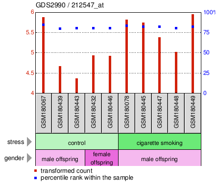 Gene Expression Profile