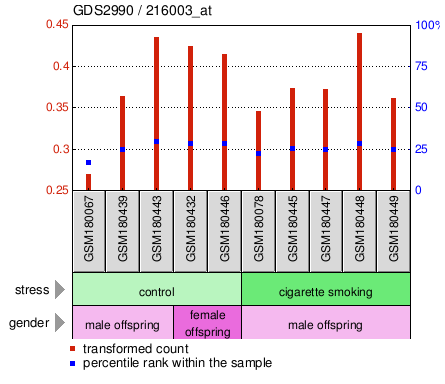 Gene Expression Profile