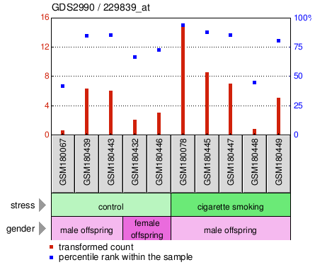 Gene Expression Profile