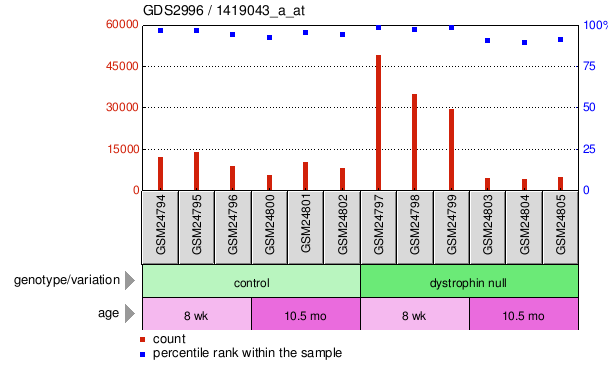 Gene Expression Profile