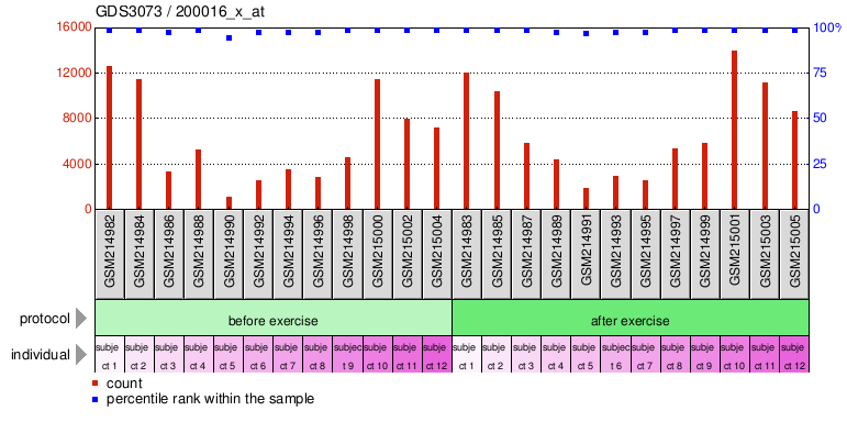 Gene Expression Profile