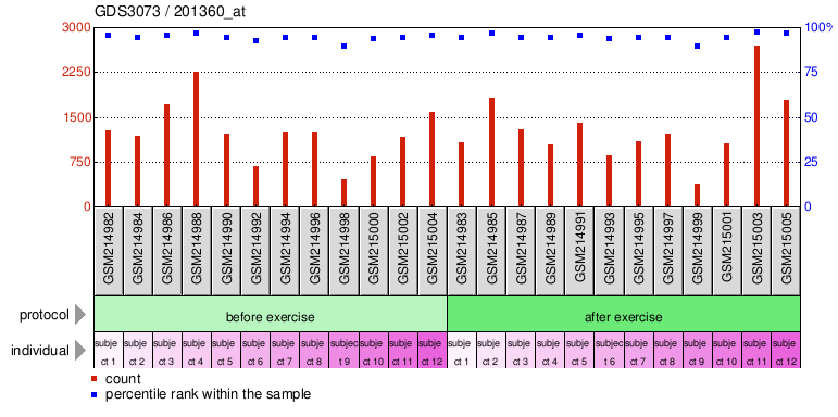 Gene Expression Profile