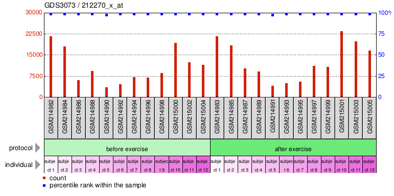 Gene Expression Profile