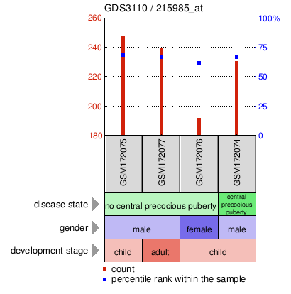 Gene Expression Profile