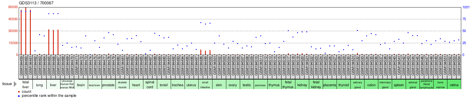 Gene Expression Profile