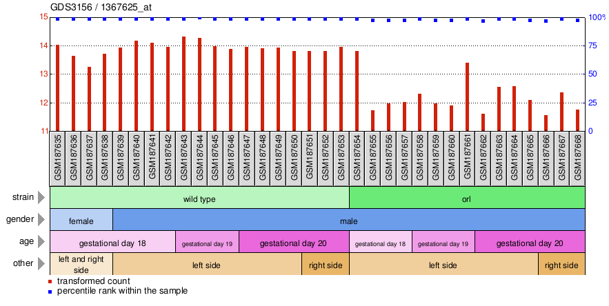 Gene Expression Profile