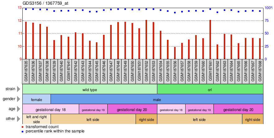 Gene Expression Profile