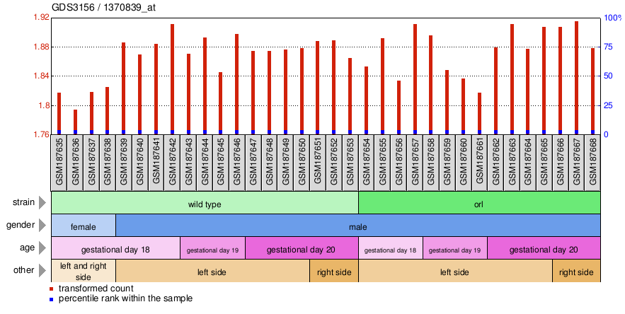 Gene Expression Profile