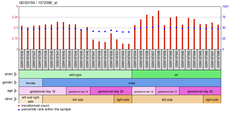 Gene Expression Profile