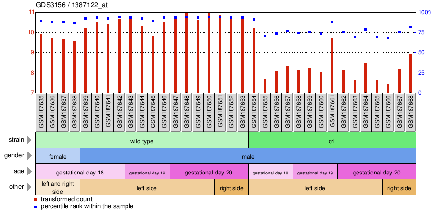 Gene Expression Profile