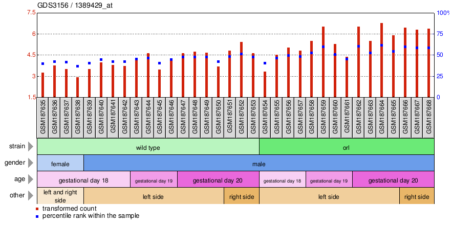 Gene Expression Profile