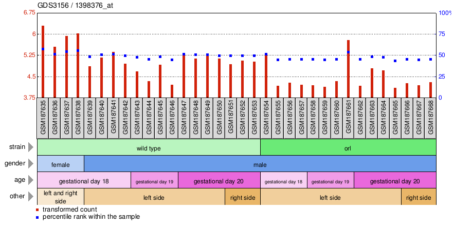 Gene Expression Profile