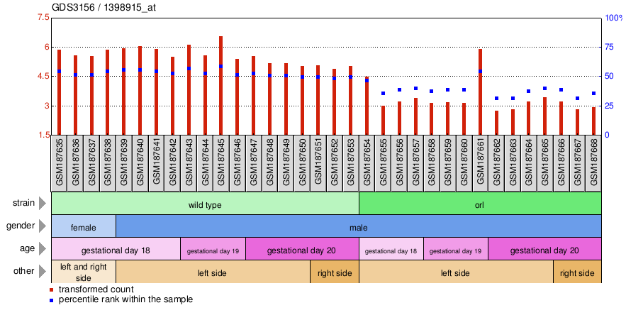 Gene Expression Profile