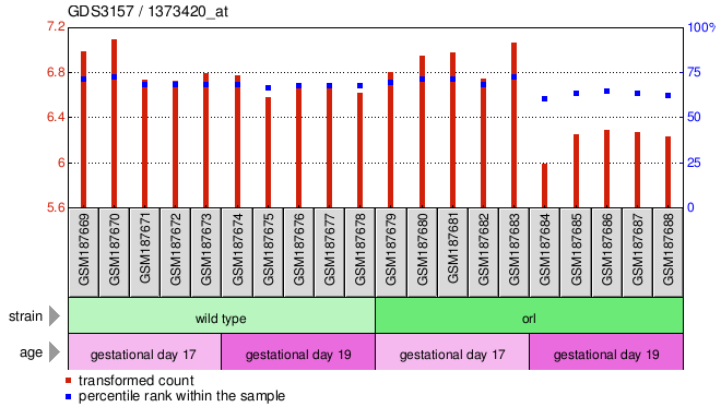 Gene Expression Profile