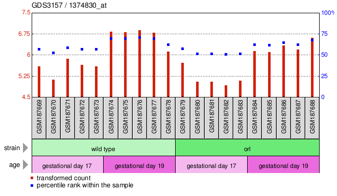 Gene Expression Profile