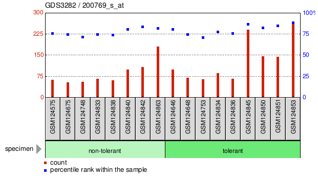 Gene Expression Profile