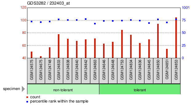 Gene Expression Profile