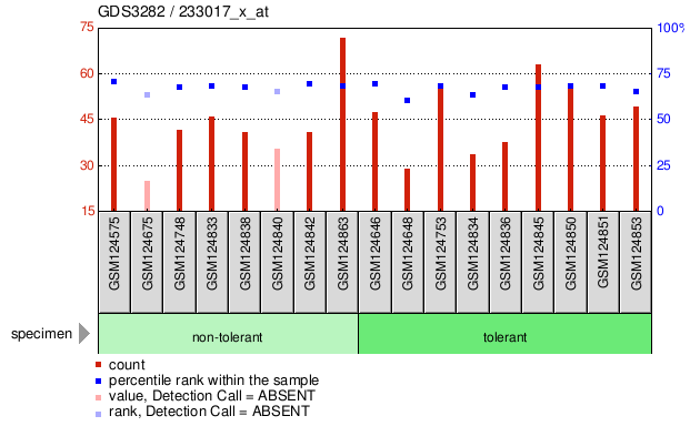 Gene Expression Profile