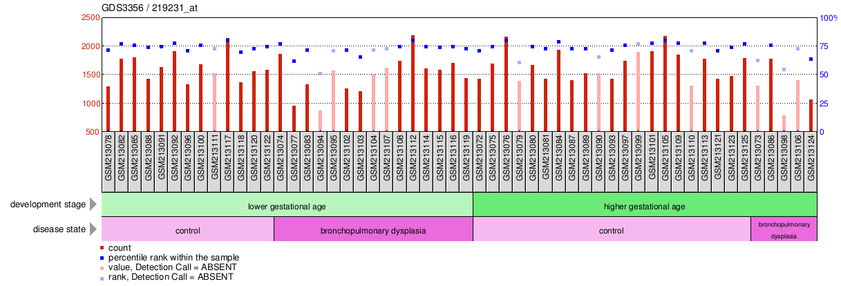 Gene Expression Profile