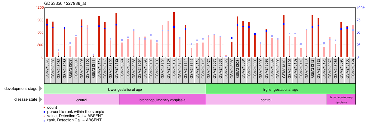 Gene Expression Profile