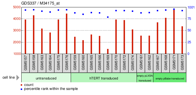 Gene Expression Profile