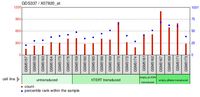 Gene Expression Profile