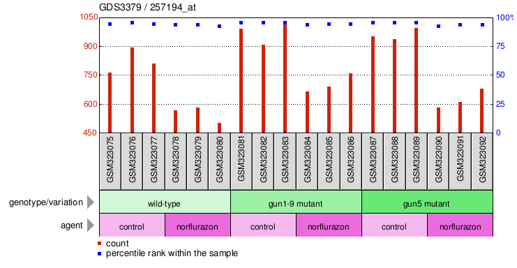 Gene Expression Profile