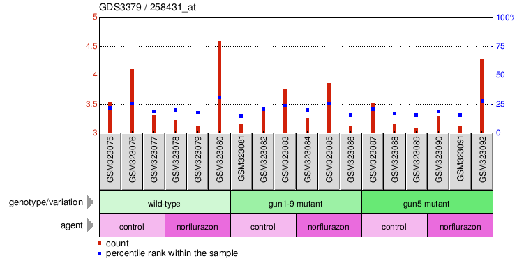 Gene Expression Profile