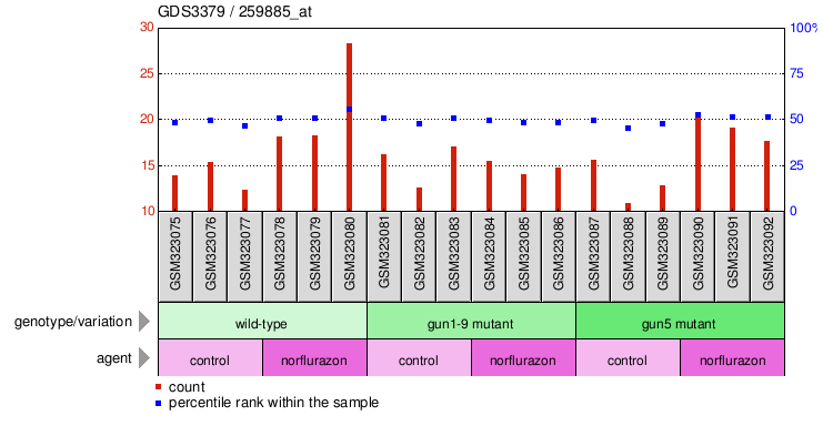 Gene Expression Profile