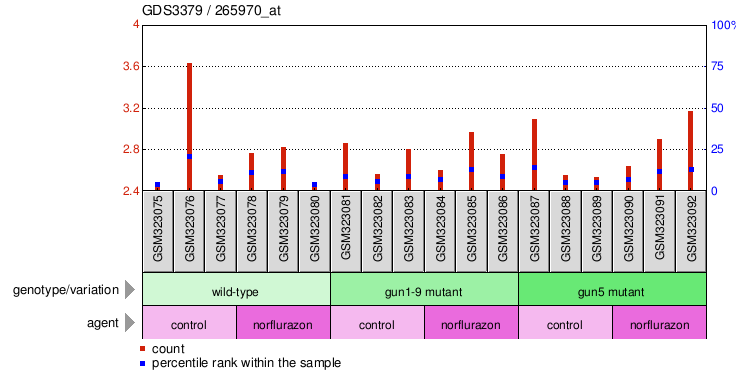 Gene Expression Profile