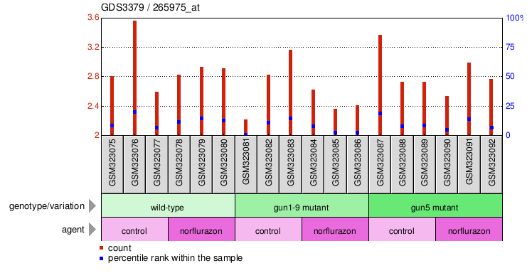 Gene Expression Profile