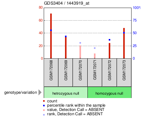 Gene Expression Profile