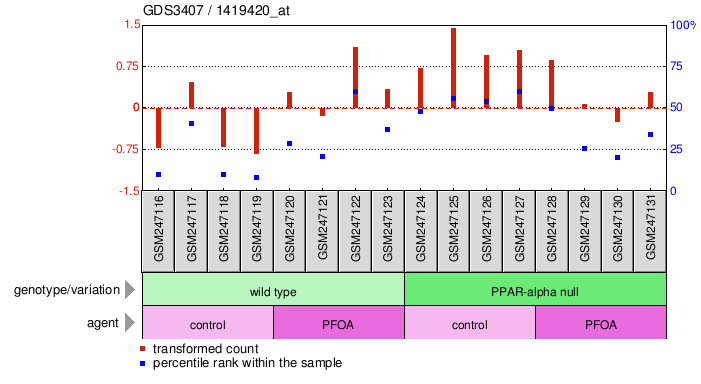 Gene Expression Profile