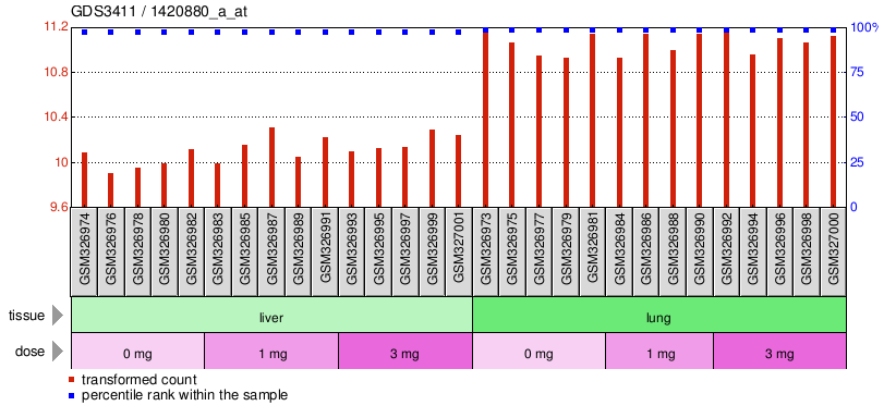 Gene Expression Profile