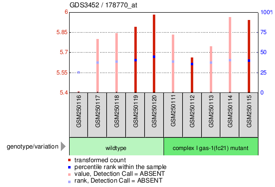 Gene Expression Profile