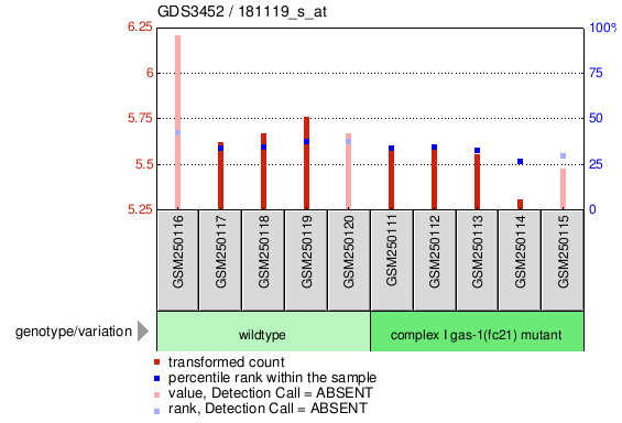 Gene Expression Profile