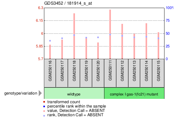 Gene Expression Profile