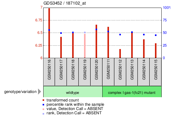 Gene Expression Profile