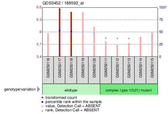 Gene Expression Profile