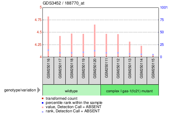 Gene Expression Profile