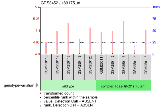 Gene Expression Profile