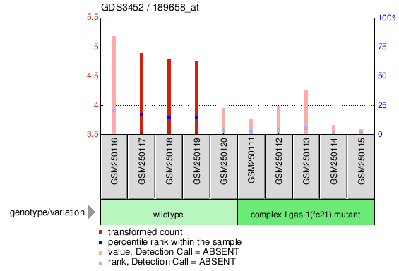 Gene Expression Profile