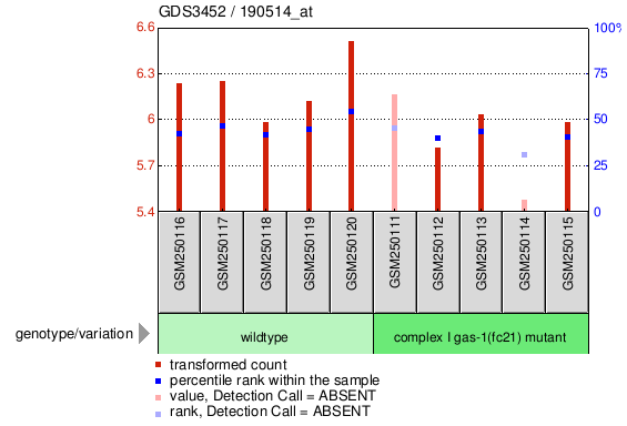 Gene Expression Profile