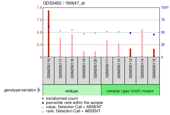 Gene Expression Profile