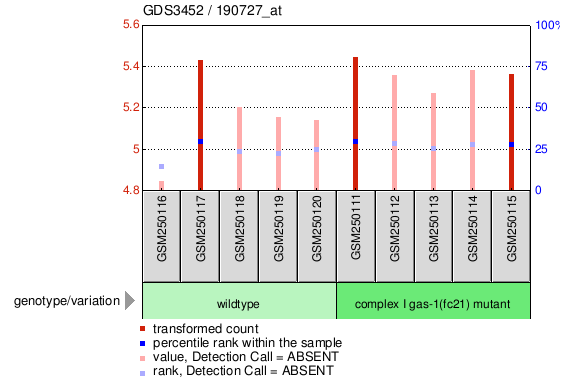 Gene Expression Profile