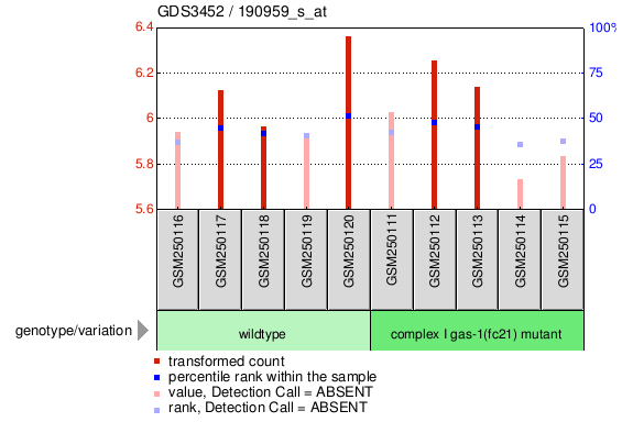 Gene Expression Profile