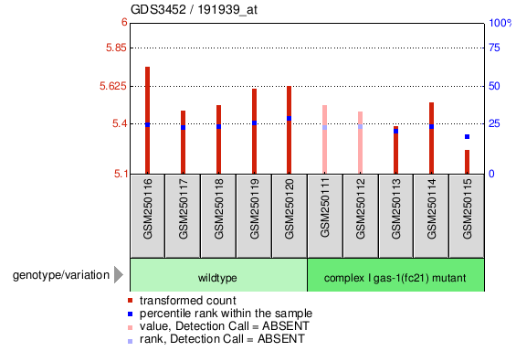 Gene Expression Profile