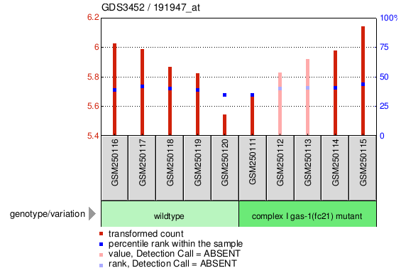 Gene Expression Profile