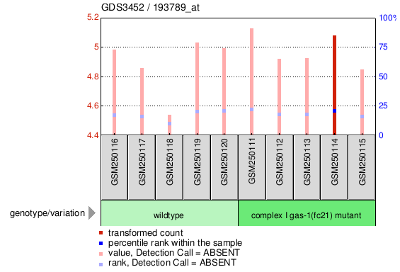 Gene Expression Profile